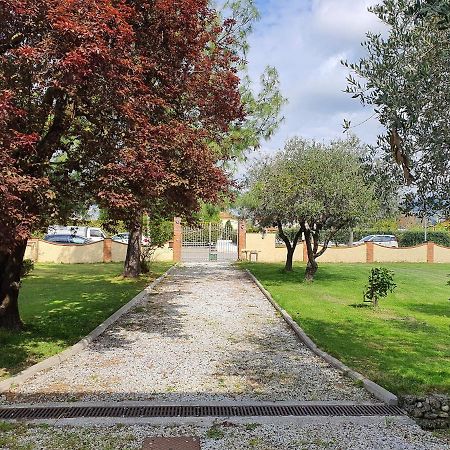 La Casetta Di Silvio Capezzano Pianore Luaran gambar
