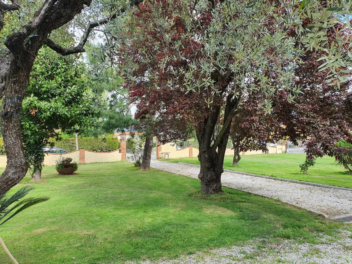 La Casetta Di Silvio Capezzano Pianore Luaran gambar