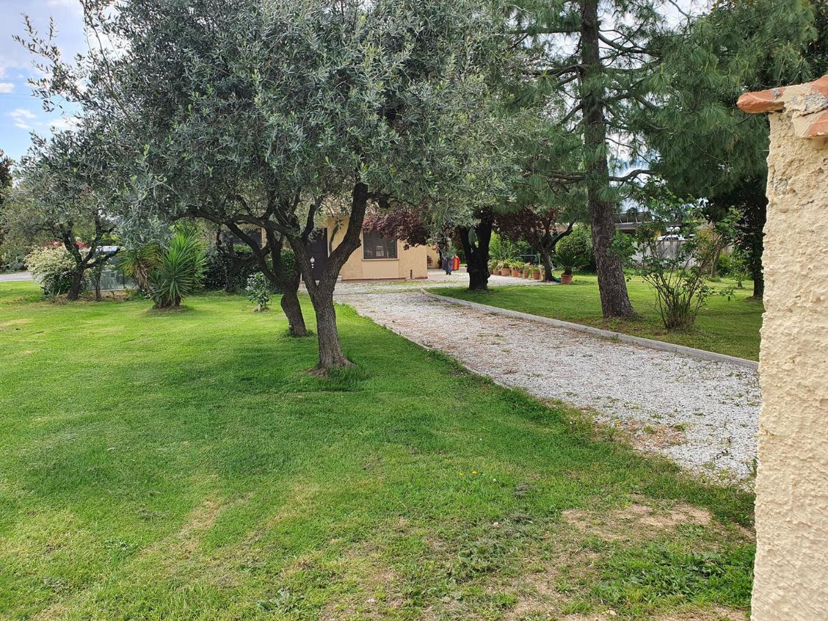 La Casetta Di Silvio Capezzano Pianore Luaran gambar