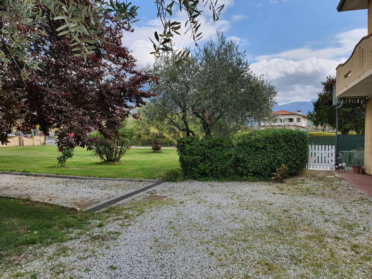 La Casetta Di Silvio Capezzano Pianore Luaran gambar